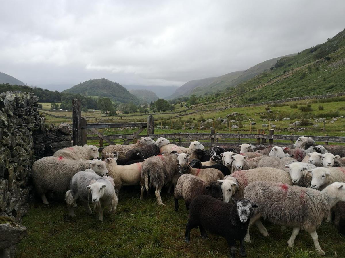 Stybeck Farm Villa Thirlmere Eksteriør bilde
